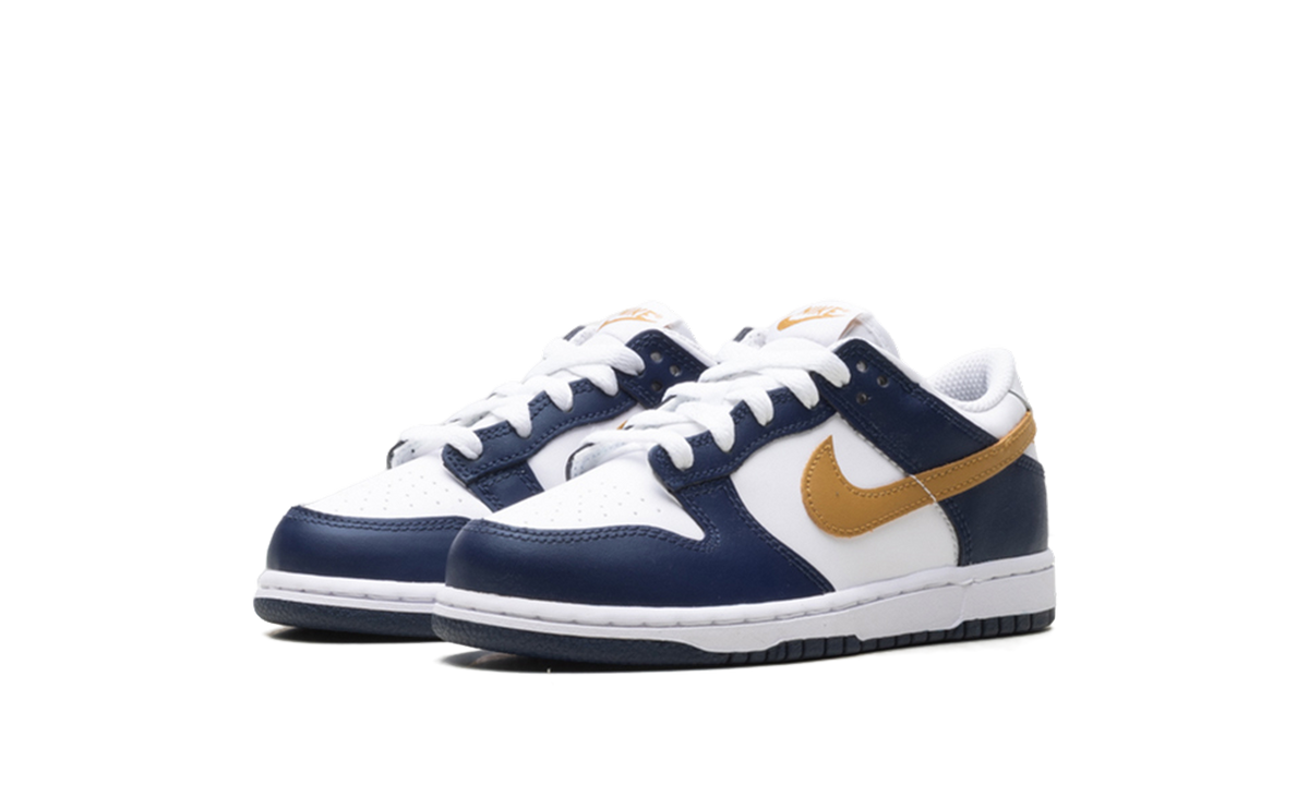 Dunk Low "Navy" FB9108 111