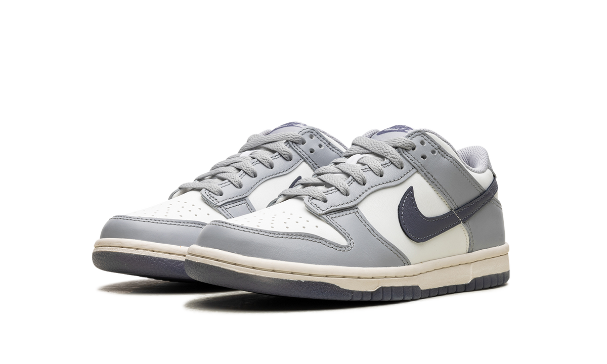 Dunk Low "Light Carbon" FB9109 101