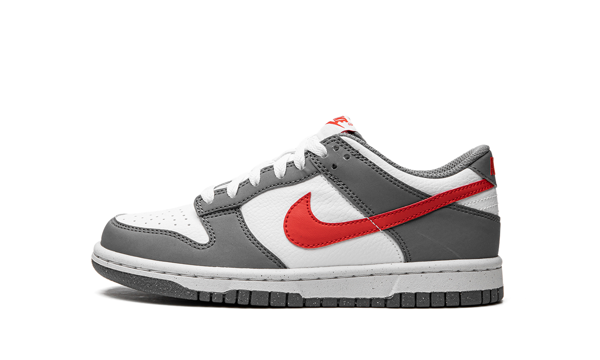 Dunk Low Next Nature GS "Smoke Grey" FB8038 001