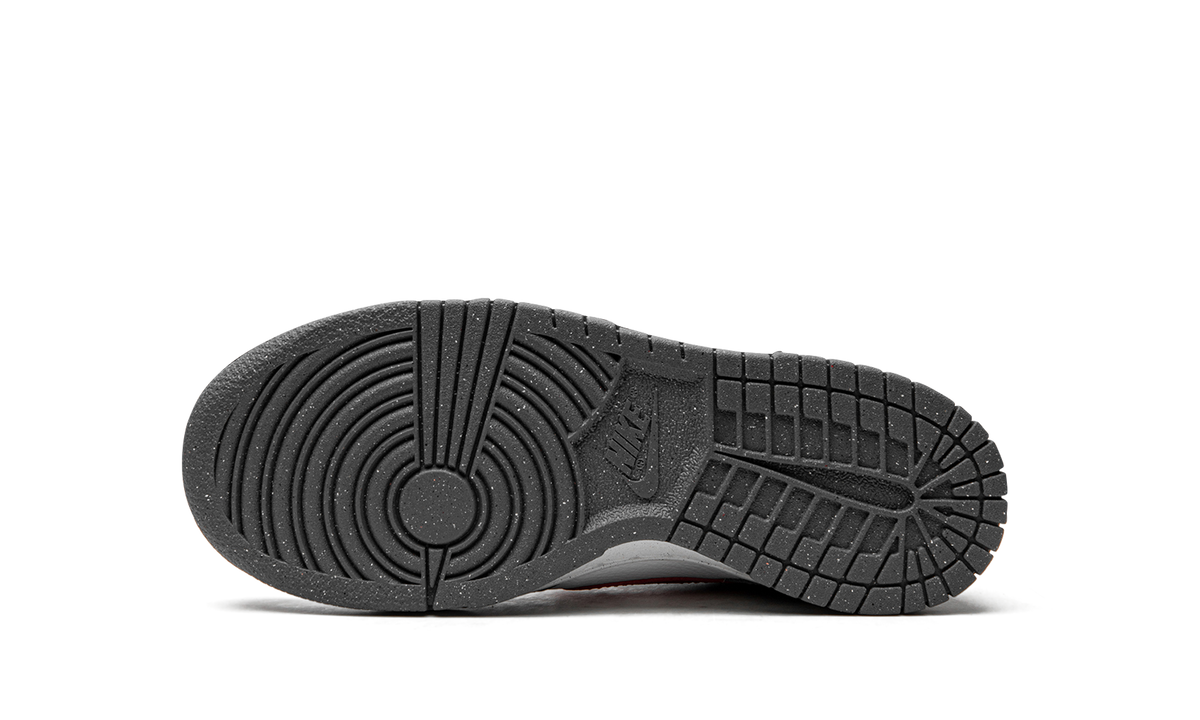 Dunk Low Next Nature GS "Smoke Grey" FB8038 001