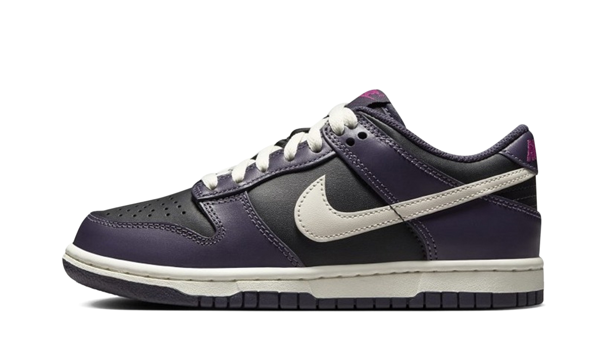 Dunk Low GS "Dark Raisin" FB9109 003