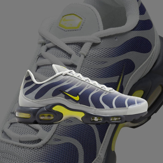 Air Max Plus TN Metallic Silver