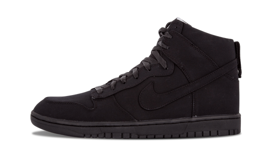 Dunk Lux SP "DSM" 718766 001