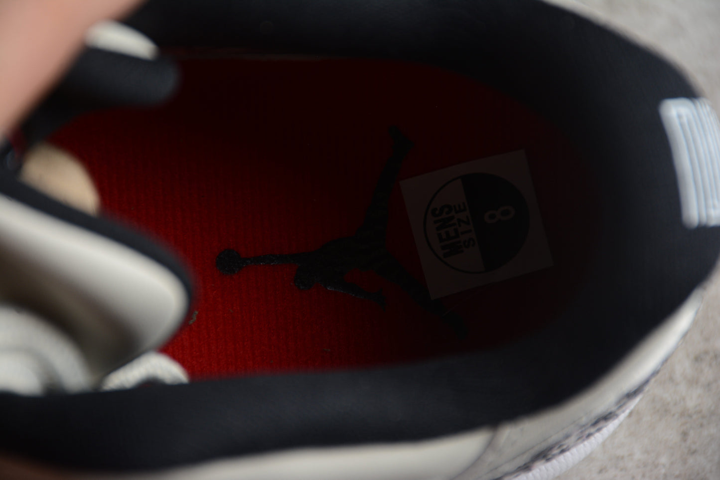 AJ 11 Low Snake
