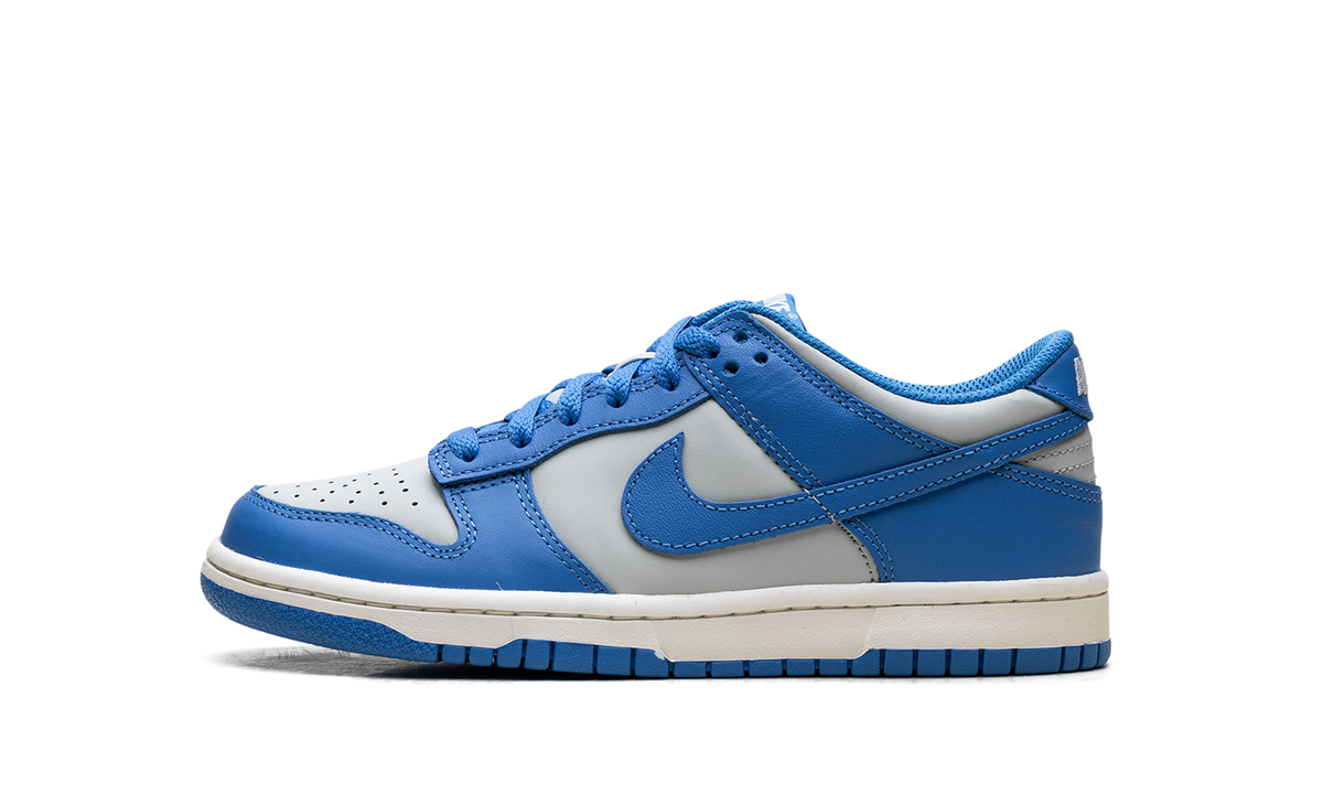 Dunk Low GS "Light Photo Blue" FB9109 004