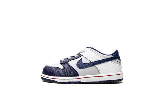Dunk Low TD "Nets" DC9562 001