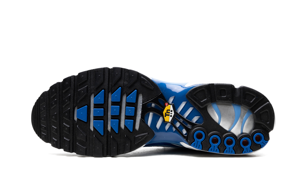 Air Max Plus "Light Streaks" DZ3531 400