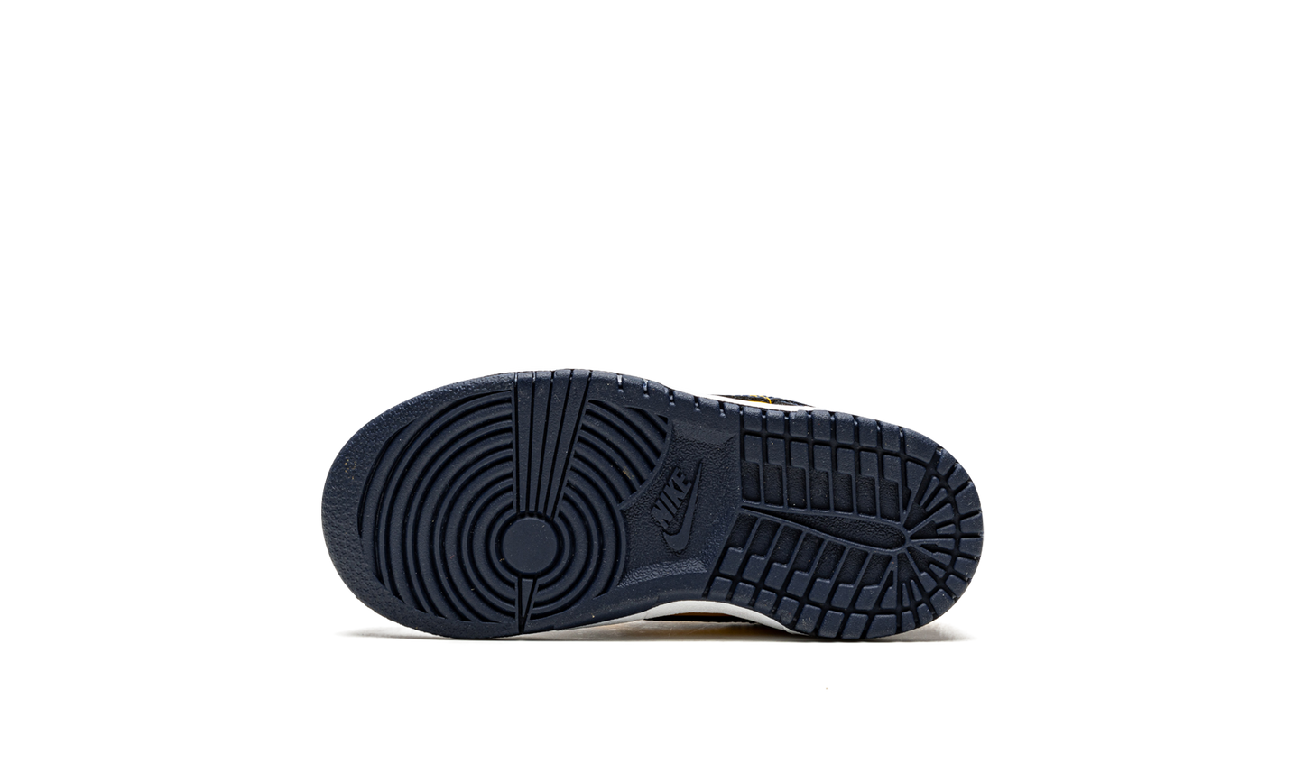 Dunk Low TD "Michigan" CW1589 700