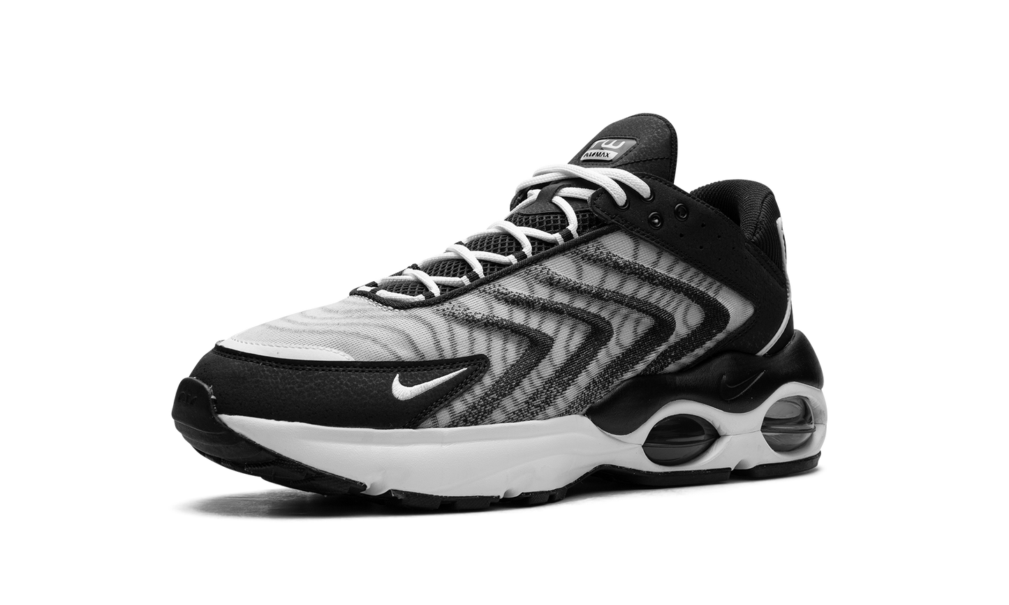 Air Max TW "Black White" DQ3984 001