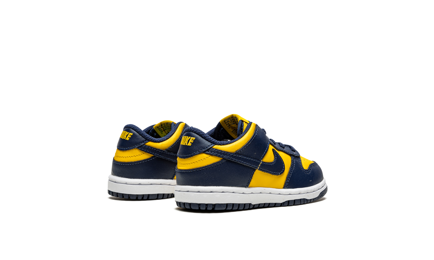Dunk Low TD "Michigan" CW1589 700