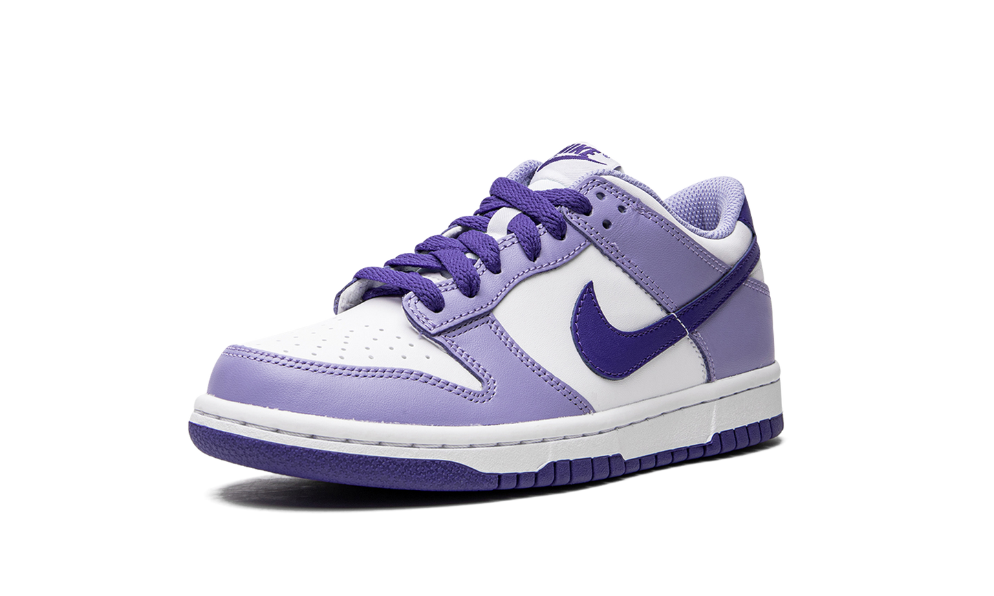 Dunk Low GS "Blueberry" DZ4456 100