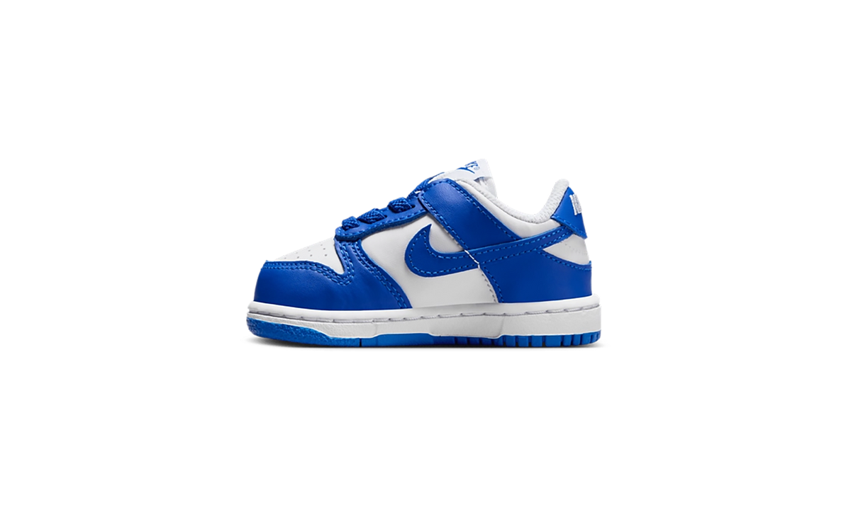 Dunk Low TD "Concord" FB9107 106