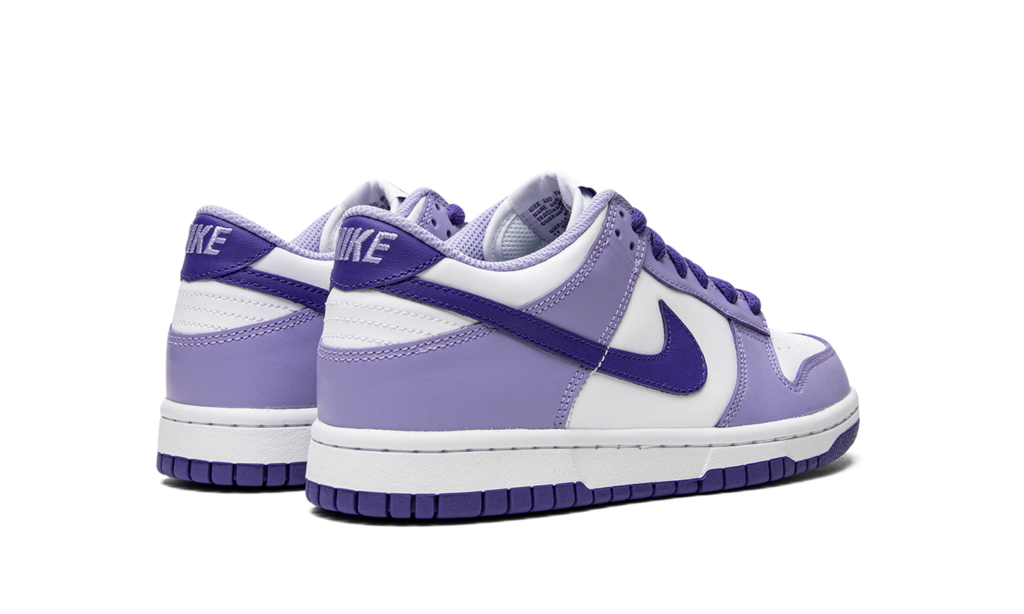 Dunk Low GS "Blueberry" DZ4456 100